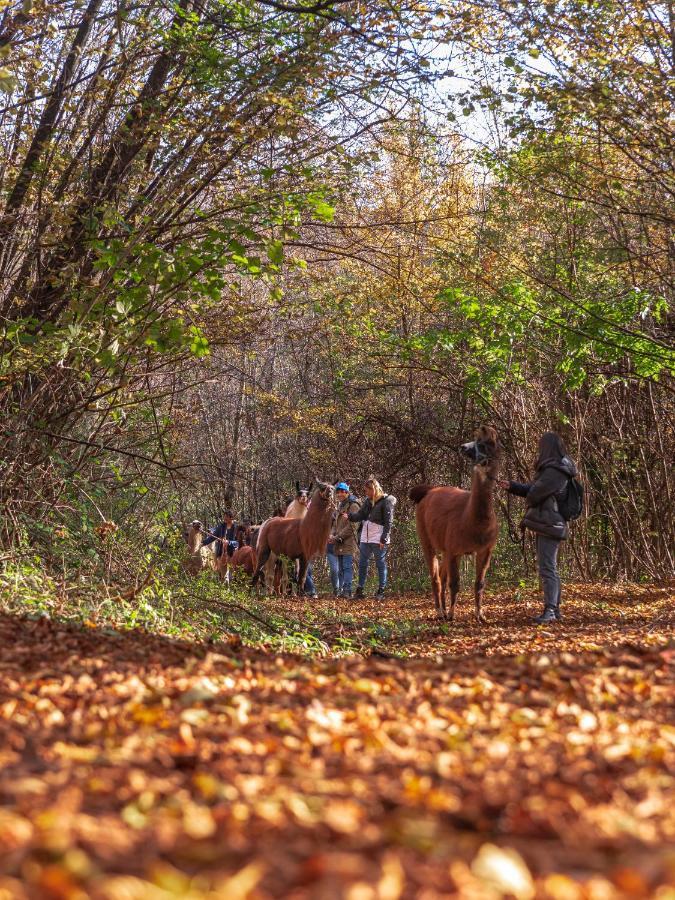 Agriturismo Scuderia Della Valle Valsecca Екстер'єр фото
